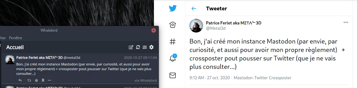 Crosspost Mastodon vers Twitter